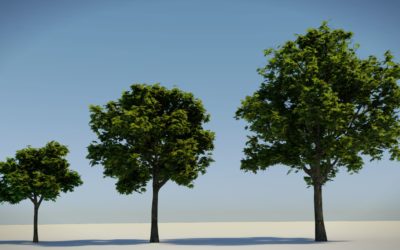 Modelowanie drzewa